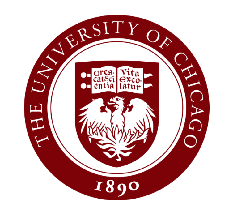 the university of chicago